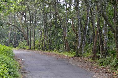 Periyar N.P., Thekkadi_DSC7309_H600